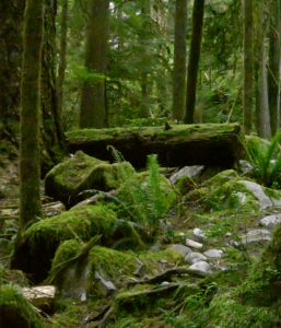 Snimek-obrazovky-2025-05-18-v-10.35.57-min